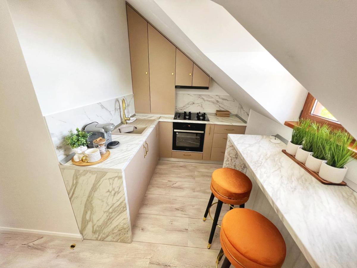Studio Poienii - A Cozy Stay 5 Min Away From The Center Bistriţa エクステリア 写真